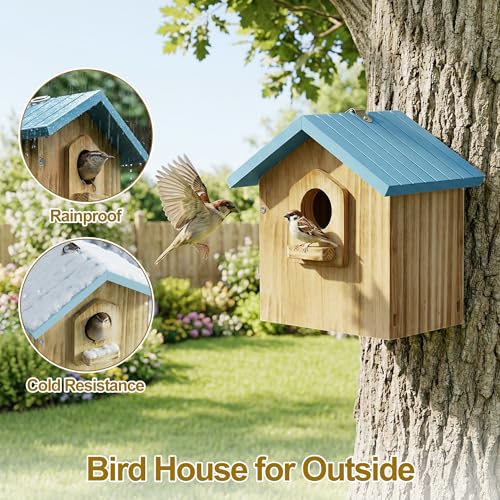 Auslar Bird House for Outside, Wooden Hanging Bird Nesting Box with Perch | Outdoor Birdhouse for Bluebird, Cardinal, Finch, Wren & Swallow, Hook, Predator Guard, Clean-out Door, Garden Bird Watching