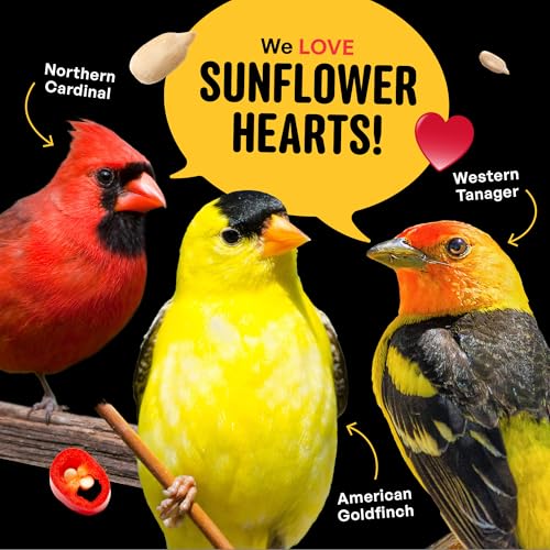 Cool Birds Hearts on Fire Hot Bird Seed, 10 lb | 100% Hulled Sunflower Hearts with Chili Pepper Oil – No Waste Bird Seed for Outside Feeders