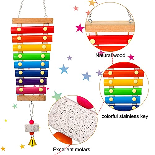 Sumind 6 Pieces Chicken Mirror Chicken Toys for Coop with Bells, Hen Xylophone Toy with 8 Metal Keys, Parrot Grinding Stone, Sepak Takraw Toy, Dangling Bird Toy