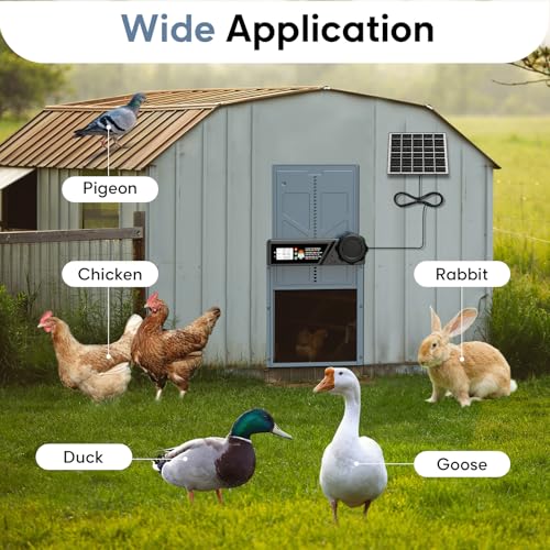 Large Size Automatic Chicken Coop Door Solar - Powered Auto Chicken Door Opener, Timer Modes for Safe and Convenient Chicken Keeping with Intelligent Obstacle Sensors, Remote Control, 14.2"H x 10.83"L