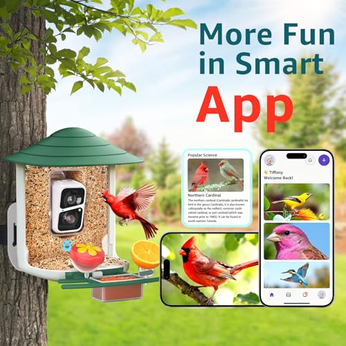 birdsnap® TUC Bird Feeder with Camera Solar Powered 2K Video with 32GB Card | AI Bird Species Identification, Squirrel-Proof, IP65 Waterproof, Outdoor Wireless, 2.4G WiFi, Gift for Mom Dad Bird Lovers - color: Yellow