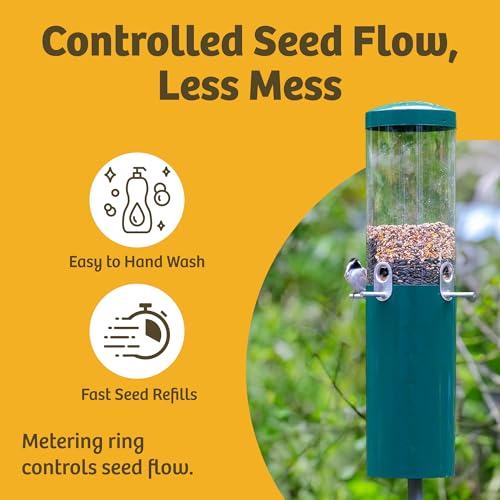 Birds Choice Classic Squirrel Proof Bird Feeder with Pole Mount | Tube Bird Feeder for Cardinals, Chickadees, Woodpeckers | Sturdy Steel for Long-Lasting Use | Backyard Bird Seed Dispenser | Green | Sturdy Steel Tube Seed Dispenser, for Cardinals, Chickad