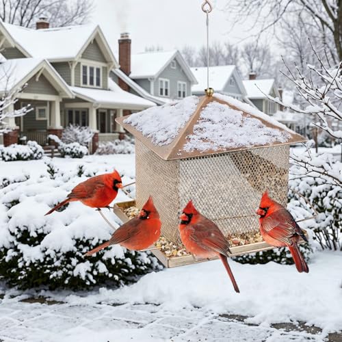 Bird Feeder, Heavy Duty Metal Bird Feeders for Outdoor Hanging | Waterproof Snowproof, 9LB Large Capacity, Easy to Fill and Clean, Wild Birdfeeder, for Garden Yard Outside Backyard - size: Square, 9 pounds