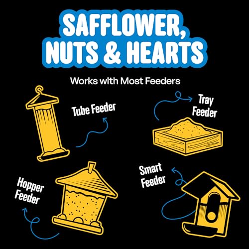 Cool Birds Safflower, Nuts & Hearts Wild Bird Seed, 10 lb | Gourmet Bird Food with Safflower, Sunflower Hearts & Peanuts. No Corn, Milo or Millet, No Waste Bird Food for Outside Feeders