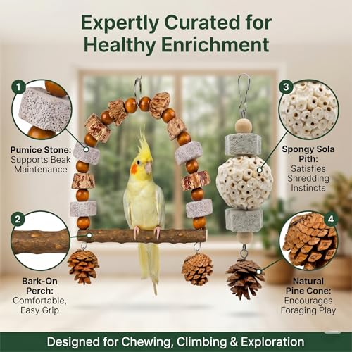 2 Pack Natural Bird Toys Set - Arch Wood Swing & Sola Ball Shreddable Toy - Foraging Hanging Perch with Pine Cones & Pumice Stone Beak Trimmer, Cage Accessories for Cockatiel, Conure, Parakeets - color: Wood A(Sola Ball Set)