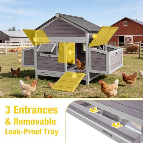 Large Chicken Coop for 2-4 Hens, Outdoor Wooden Hen House with 4 Nesting Boxes, Weatherproof Asphalt Roof, Dual Ramp Doors, Pull-Out Tray - color: Grey, size: 67.2"L(4-6 chickens)