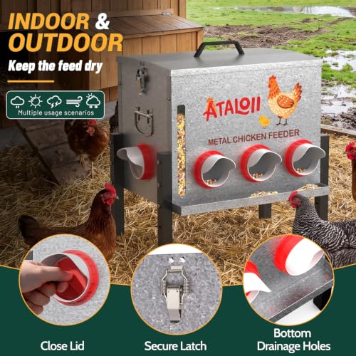 10gal 50LB Large Automatic Chicken Feeder with Window, Food Tray - No Waste | No Spill, Rust-proof Alloy Steel Poultry Feeder, Waterproof Metal Chicken Feeder for Indoor & Outdoor Chicken Coops (8 Ports - size: 10gal
