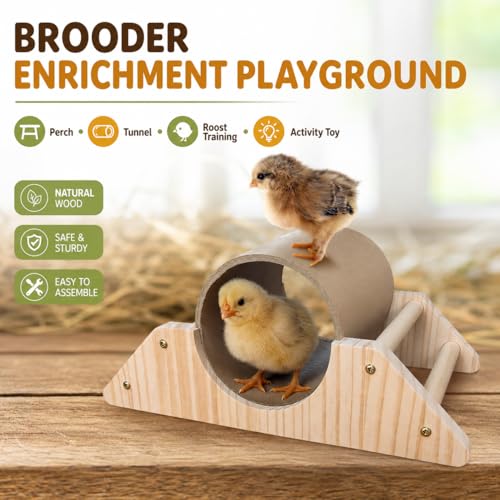 Baby Chick Perch & Tunnel Toy Set for Brooder, Chick Roosting Bar Training Toys, Chicken & Duckling Enrichment Playground, Anti-Boredom Coop Accessories for Baby Chicks Ducks Small Birds