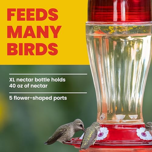 More Birds Bird Health+ Big Gulp Hummingbird Feeder, Glass Hummingbird Feeders for Outdoors, 5 Feeding Stations, 40 Ounces | Built-in Ant Moat, 40 oz Large Capacity, 5 Feeding Stations, BPA-Free Red Base and Top