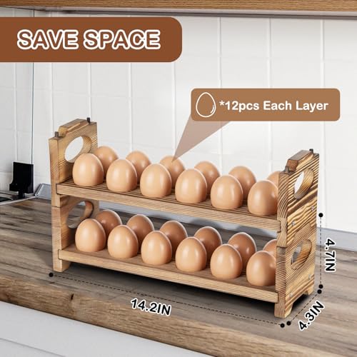 Wooden Egg Holder Countertop, 2-Tier/24-Hole, Stackable | Farmhouse Style, With Handle, Storage & Organizer, Durability, Assembly, For Chicken/Duck/Quail/Turkey/Easter Eggs - style: 2-Tier