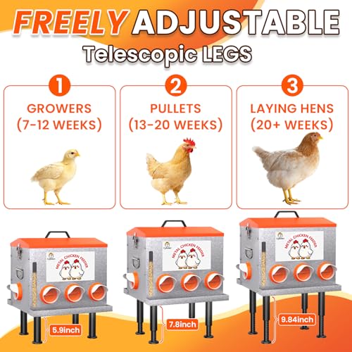 10-Gal Metal Automatic Chicken Feeder with No-Waste Feeding Tray | 55LB Capacity, 8 Feeding Ports, Rust-Proof Alloy Steel, Clear Viewing Window, Height-Adjustable Legs for Chicken Coops - color: Orange, size: 10GAL-55LB