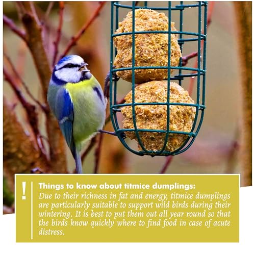 Wild Animal Heart | Fat Ball Holder 12" - 5 Year Guarantee - Made of rustproof Metal Bird Feeding Station for Fat Balls - Ecological Bird Feeder (31cm, Green)