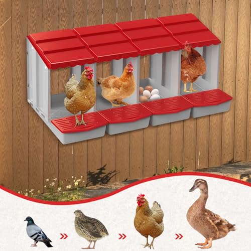 4 Hole Chicken Nesting Box with Rolling Egg Collection Design | Rolling Egg Collection & Protection Nesting Boxes, Avoid Broken Eggs, Ideal for Coops, Backyard & Family Chicken Raising ﻿ - size: 4 Compartment