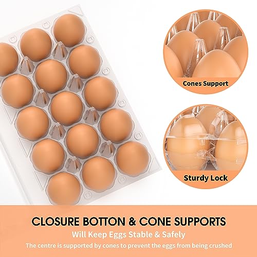 50 Pack Egg Cartons Cheap Bulk 12 Count Plastic Egg Containers 3x4 Grids | Reusable Bulk Egg Carton Clear Egg Holder for Home Ranch Farm Commercial Market Display Plastic Egg Contain for Craft Project - size: 50Pack-3x4 Grids