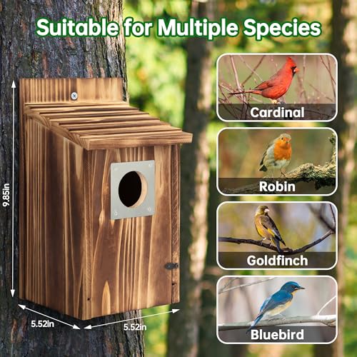 Bird Houses for Outside with Metal Predator Guard for Bluebird Wren Swallow Finch, Carbonized Wooden Nesting Boxes for Outdoor, Sturdy Bird House,Easy to Clean
