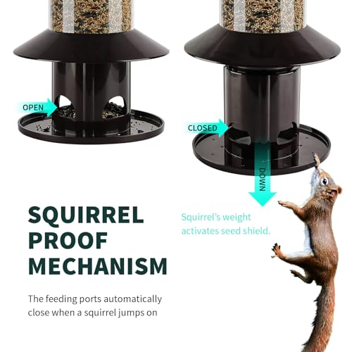 Squirrel-Proof Bird Feeder for Outdoor Hanging Wild Bird Seeds. - color: 11"H Bronze