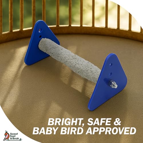 Sweet Feet and Beak Baby Weaning Stand, Large Training Bird Perch | 3 Adjustable Heights, Training & Play Stand, Easy to Clean, Handmade in USA, For Baby Finches, Canaries & Small Budgies - size: Large
