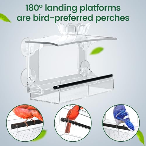 DY-SKTY Clear Acrylic Window Bird Feeder with Strong Suction Cups, Detachable Tray – Easy to Clean, Birds Viewing for Cats, Outdoor Wild Bird Watching Gift, Outside Garden Decor