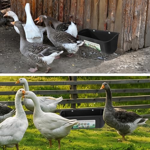 3 Pack 6 Quart Chicken Duck Feeder Trough, Black | Fence Mount Hanging Feeder with Clips; Fits Chicken, Duck, Geese, Turkeys, Goats & All Farm Livestock Coop Feeding - color: black