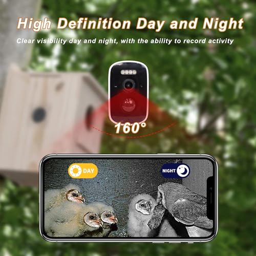 Solar-Powered Smart Owl House with Camera - Outdoor Hanging Wooden Nesting Box, Real-Time View & Motion Detection, for Garden for 2.4g WiFi Coverage Area, for Owl Lovers - style: Smart owl house