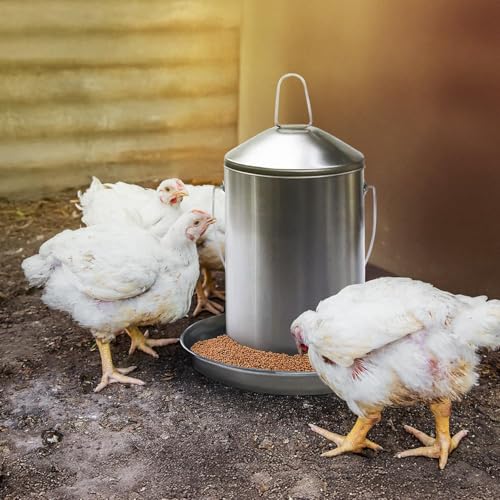 Plexon Automatic Chicken Feeder 2.9KG/6.6lbs – Heavy-Duty 304 Stainless Steel Poultry Feeder, Rust-Proof, Top-Fill Design, Easy to Clean, Weather-Resistant