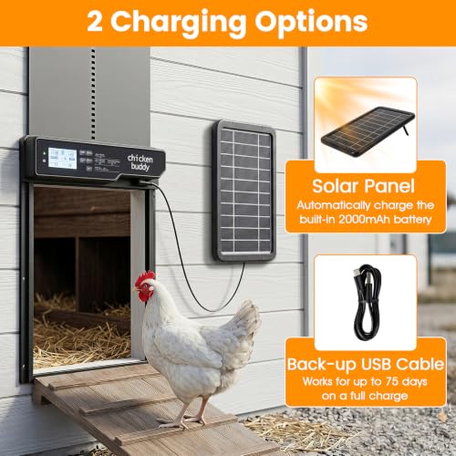 PETSITE Solar Powered Automatic Chicken Coop Door, Along with USB Charging | | LCD Display | Light Sensor, Timer, Remote & Manual Control | Anti-Pinch Design | Waterproof | Made of Aluminum |