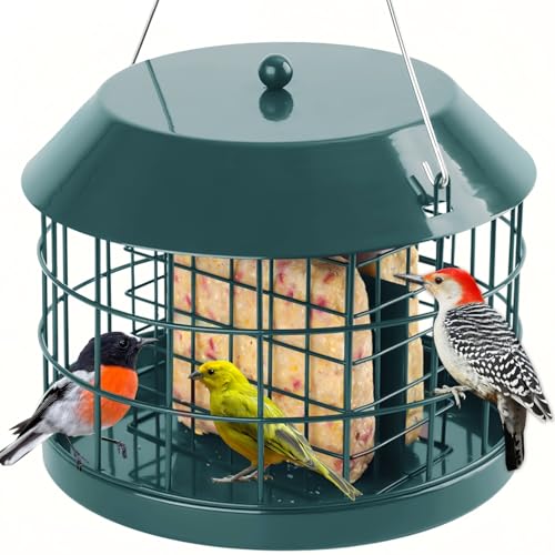 Gbekery Caged Suet Bird Feeder for Outdoors Hanging, Squirrel Proof Double Suet Feeder for Small Birds, Metal Cage with Detachable Hook, Large Space, Outdoors Weatherproof, Green - style: Green Suet Cage