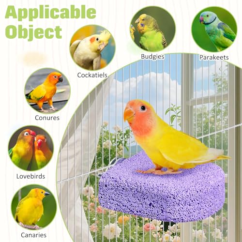 BNOSDM 4 Pcs Purple Bird Beak Grinding Stone Calcium Parrot Perch 3.1*2.6in - color: 4 Pcs- Purple (M+)