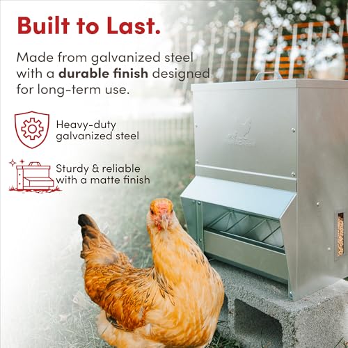 RentACoop 25lb Gravity-Fed Metal Trough Feeder with Lid & Rain Cover - size: 25LB Capacity