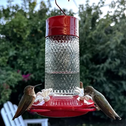 Nature's Way Hanging Glass Hummingbird Feeder for Outdoor Décor, 13 Ounce Capacity Nectar Feeder, Ant Moat, 4 Easy to Clean Flexible Ports, Red - style: 13 Ounce Capacity
