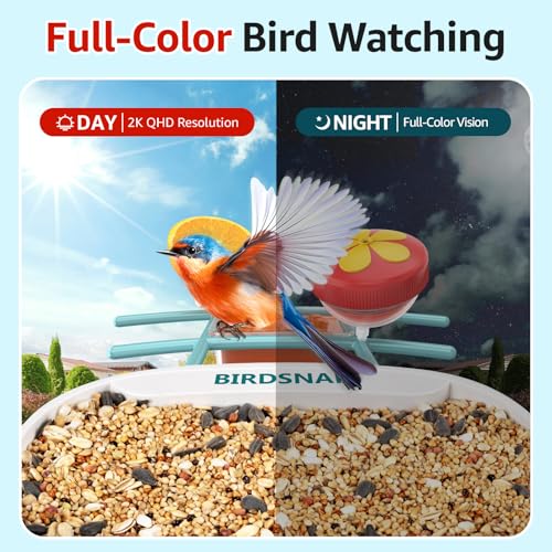 birdsnap® TUC Bird Feeder with Camera Solar Powered 2K Video with 32GB Card | AI Bird Species Identification, Squirrel-Proof, IP65 Waterproof, Outdoor Wireless, 2.4G WiFi, Gift for Mom Dad Bird Lovers - color: Light Blue