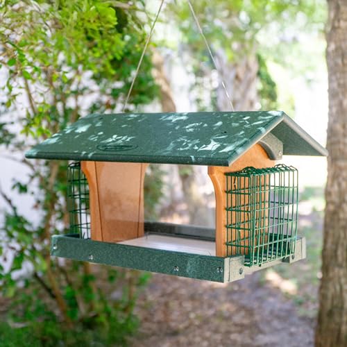 DutchCrafters Poly Hanging Large Hopper Bird Feeder with Two Suet Cake Holder Cages, Durable Long Lasting Outdoor Bird Feeder - Amish American Made in USA (Turf Green & Cedar) - color: Hanging - Turf Green & Cedar