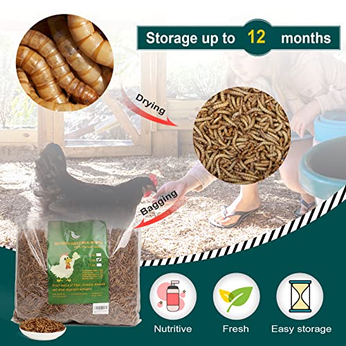 6LBs Non-GMO Dried Mealworms,High-Protein Larvae Treats Feed Molting Supplement for Birds Hens Ducks etc,Large Bulk Meal Worms Birds Chicken Food