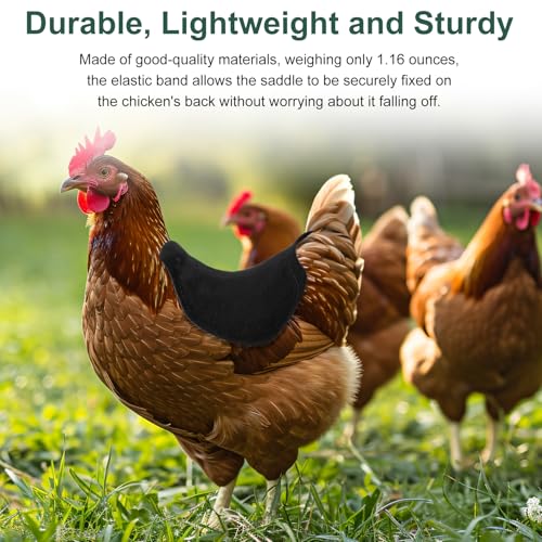 Gosknor 3pcs Chicken Saddle for Hens, Comfortable Hen Aprons Chicken Back & Side Protector Outdoor Poultry Feather Protector Accessories (Green, Black, Khaki)