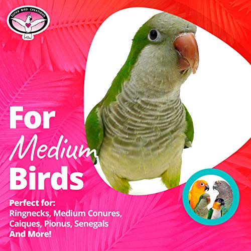 Super Bird Creations SB946 Tassel Time Bird Toy - Ideal for Parrotlets, Parakeets, Cockatiels, Lovebirds, and More - Durable Enrichment and Foraging Toy for Bird Cages, Medium Sized Birds, 10" x 7"