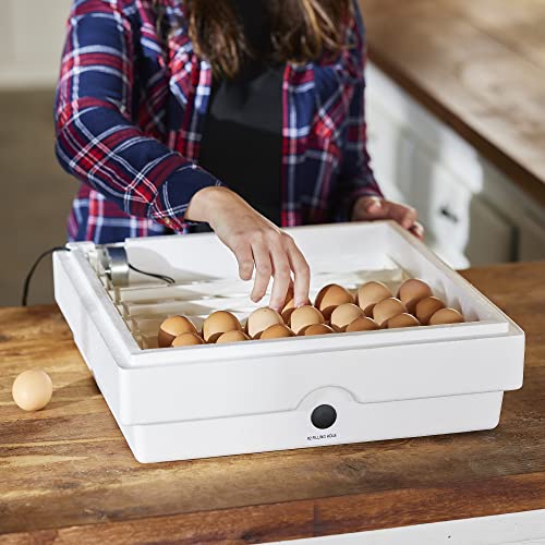Farm Innovators 3200 Automatic 41 Spot Egg Turner for the Bottom of Incubators to Eliminate Manual Handling and Improve Hatching Rate, White (2 Pack) - size: 2 Pack