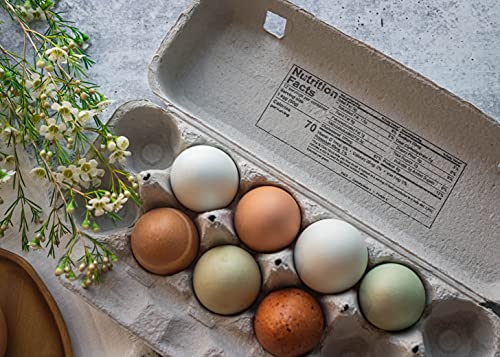 Blank 12-Egg Flat Top Paper Pulp Egg Carton with Nutrition Facts, Safe Handling Info, Optional UPC - 125 Pack