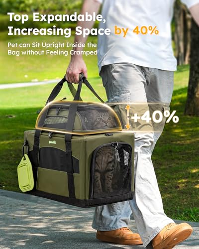 Pecute Cat Carrier,Top Expandable Dog Crate for Travel, Green | 5mm Anti-Collapse Steel Frame, Soft Mesh, Vet Visits, Foldable Travel Crate,Outdoor Hammock, Leakproof Pee Pad & Bowl - color: Green