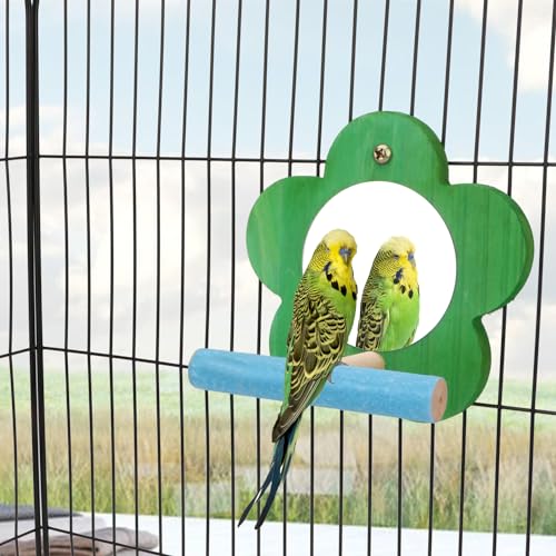 Hypeety Bird Mirror Toy with Perch Cage Standing Perch Wood Toy for Parrots | Natural wooden perch included, clear acylic miror, for parakeet/cockatiel/finch/conure/lovebird, random color, flower shape - color: Flower Shape