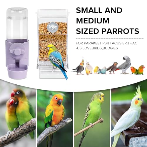 lemtrflo No Mess Bird Feeder Water Dispenser Set, Bird Feeder for Cage | Cage Accessories for Parrot, Finches, Budgies and Canaries - color: Purple