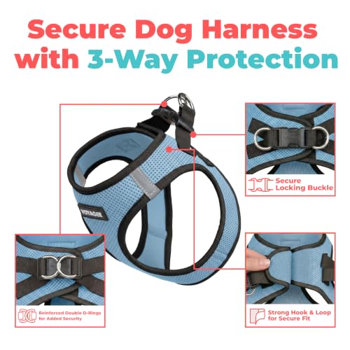 Voyager Step-in Air Dog Vest Harness - Baby Blue/Black Trim, X-Small | 13 - 14.5" in Chest, Reflective Bands, All Weather Breathable Air Mesh, Cats Compatible, Lightweight, Fast Drying - color: Harness (Baby Blue/Black Trim), size: XS (Chest: 13 - 14.5")