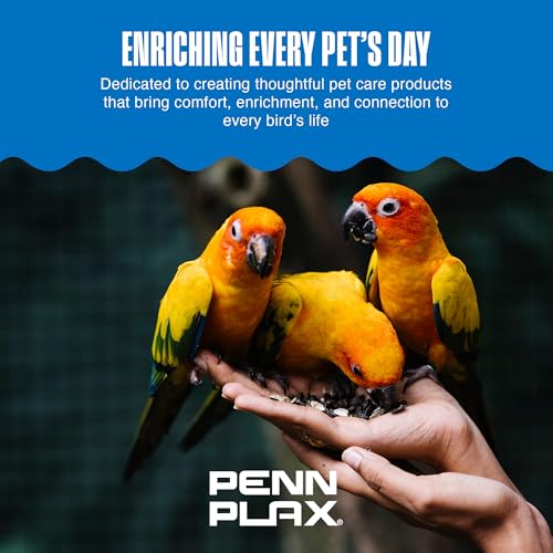 Penn-Plax Bird-Life E-Cuttlebone Original, 1 Pk (2 Counts) - Durable, Less Brittle Cuttlebones Enriched with Omega 3, Honey & Vitamin B1 - Easy Mounting, Cage Clip - Great for All Bird Sizes - White - size: 2 Count (Pack of 1)