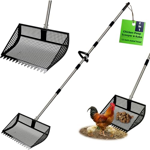 12 Inch Chicken Poop Scooper & Rake 2-in-1,5 Adjustable Levels 24.4" to 77.2" Chicken Coop Scooper for Cleaning,Shovel Metal Head, Chicken Coop Rake and Scoop with Handle,Stainless Steel