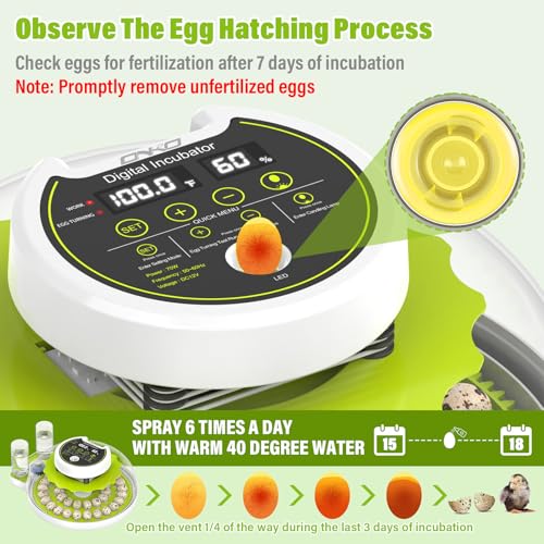 40 Quail Egg Incubator with Automatic Egg Turning Humidity Control Eggs | Large Capacity Quail Brooder Poultry Incubators, Also for Parrot, Dove, Canary and Other Birds - color: Green