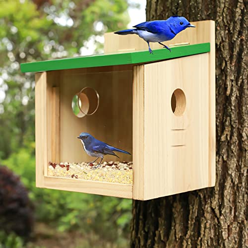 STARSWR Bird House Large Bluebird House Feeder Outdoor Mealworms Feeder for Bluebird with Viewing Window,with Easy Clean Removable Door Outside Hanging Birdhouses