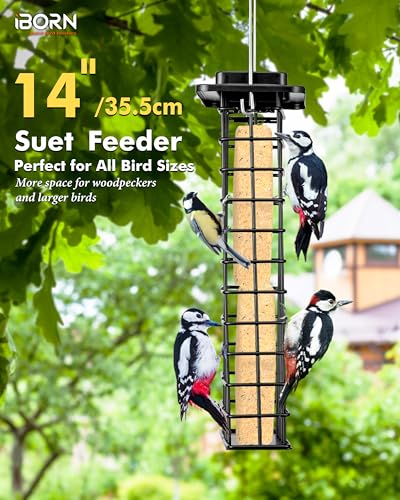 iBorn Metal Double Suet Feeder,Durable Suet Cake Cage Bird Feeder for Outdoors Hanging，Metal Roof Bird Feeder with Taller Grid for Woodpeckers,Large Suet Holder,Easy Clean & Refill,1 Pack,Black - color: Black, size: Double Capacity