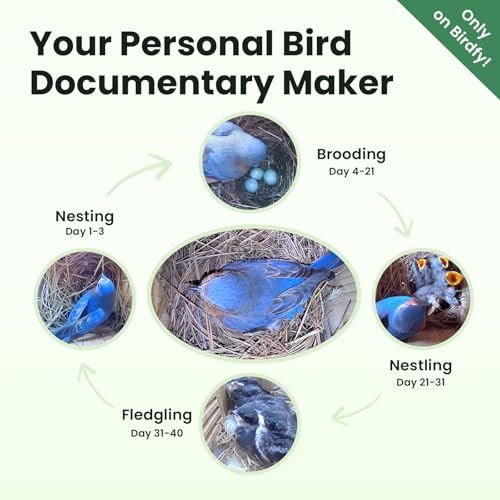 Smart Bird House with Camera Solar Powered, 1080HD Live Video & Night Vision for 24/7 Nesting Recording, Auto Detect & Notify, Ideal Nature Gift for Bird Lovers, AI Identify Lifetime Free