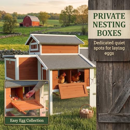 PawHut 79" L Chicken Coop for 6 Chickens with Run 2 Nesting Boxes Orange | Outdoor Wooden Hen House Poultry Cage, Slide-Out Tray, Sliding Rod Door, Roosting Bar, Waterproof Asphalt Roof