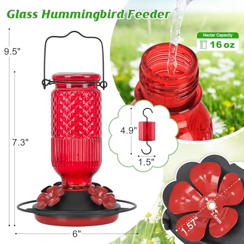 Glass Hummingbird Feeder for Outdoors Hanging, 16 oz Leak-Proof Nectar Feeder with Bee Guards & Ant Moat, 4 Metal Flower Feeding Ports, 360° Perch Ring, Easy Refill & Clean, Red - color: Red