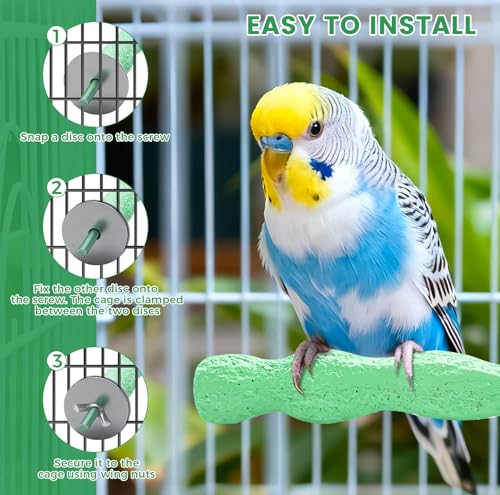 2pcs Bird Beak Grinding Stone, Anti-Slip Parakeet Nail Trimming Stick Resin, Bird Parrot Cage Perch Stand Platform Foot, Claws Trimmer Chewing Toys for Budgies, Parakeets, Cockatiels, Conures - color: Green